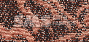 1956 Ford Cloth Coral Mosaic Pattern