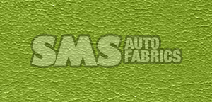 1973 Ford Thunderbird Bright Green Vinyl
