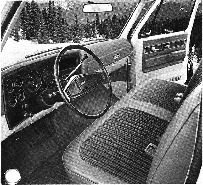 1973 top c10 interior